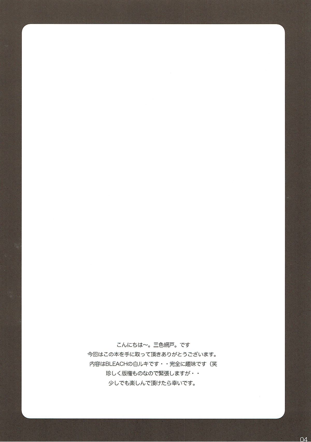 (SC34) [OTOMEKIBUN (Sansyoku Amido.)] Katamimi Usagi (Bleach) (サンクリ34) [乙女気分 (三色網戸。)] カタミミうさぎ (ブリーチ)