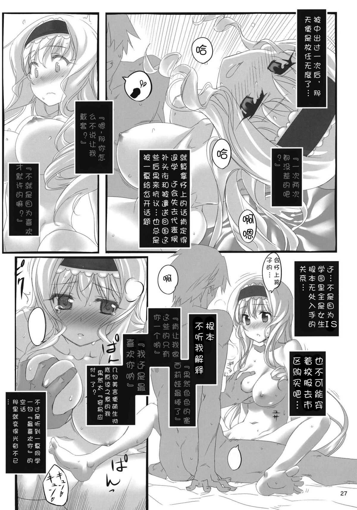 (C80) [Himura Nyuugyou (Himura Kiseki)] Yuuzai Shouko Bukken 3-gou (Infinite Stratos) [Chinese] (C80) [比村乳業 (比村奇石)] 有罪証拠物件 参号 (インフィニット・ストラトス) [中文翻譯] [修正液汉化组]