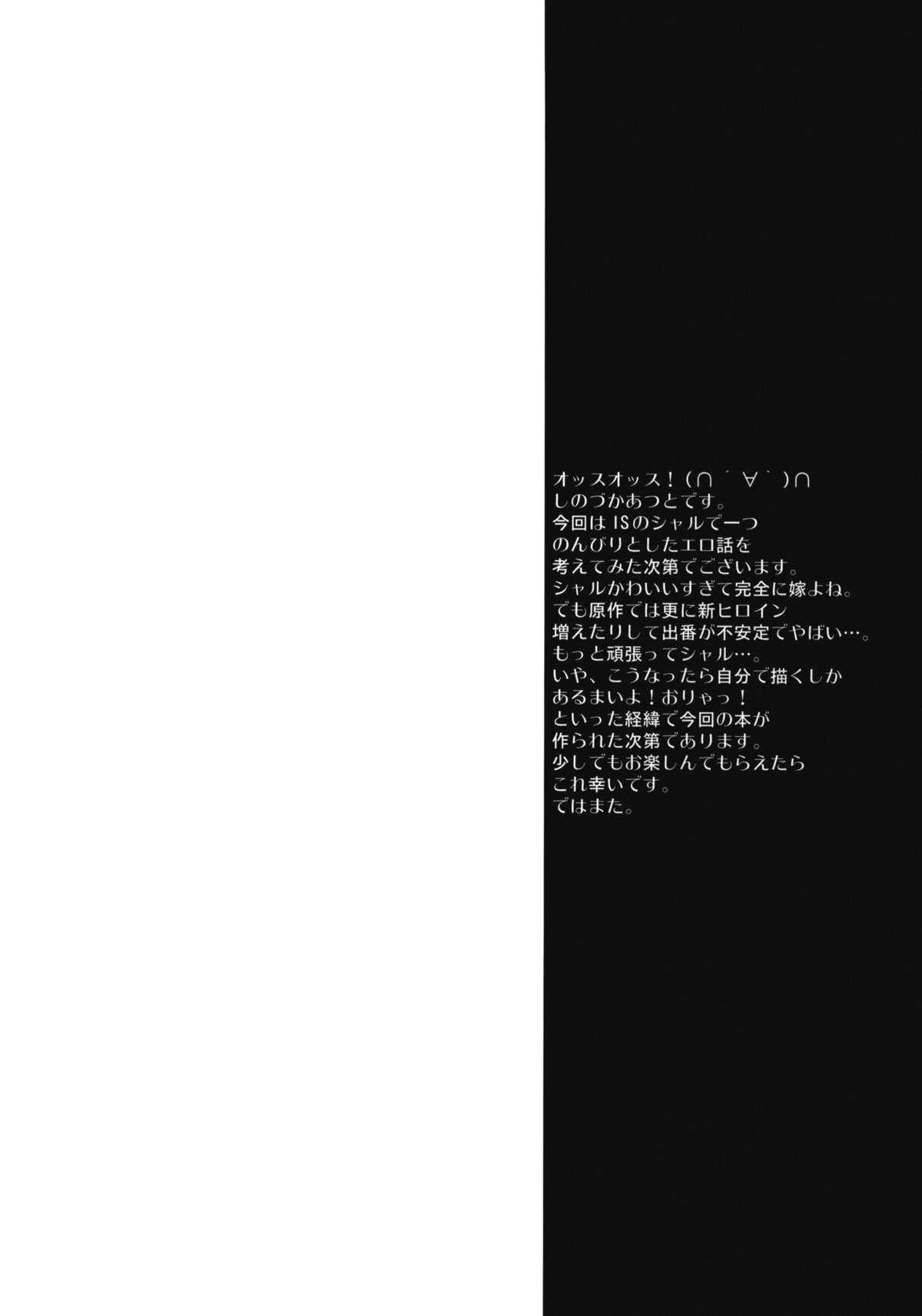 (C80) [Makuu Gundan (Shinozuka Atsuto)] Magical Sky Communication IS (Infinite Stratos) [Chinese] (C80) [魔空軍団 (しのづかあつと)] 魔空通信IS (Infinite Stratos) [中訳]