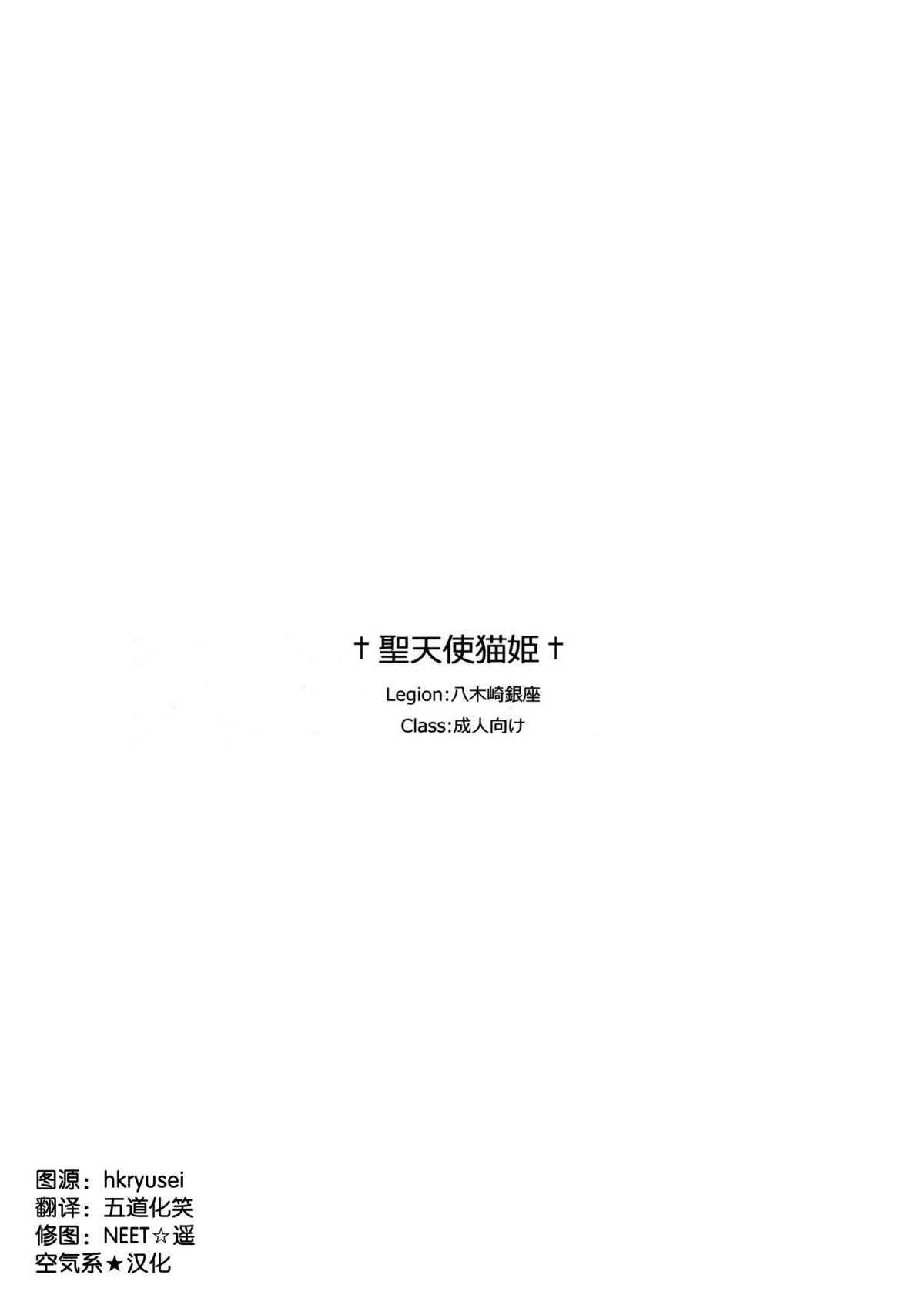 (COMIC1☆6) [Yagisaki Ginza (Yagami Shuuichi)] Seitenshi Nekohime (Accel world) [Chinese] (COMIC1☆6) [八木崎銀座 (八神秋一)] +聖天使猫姫+ (アクセル · ワールド) [空気系★汉化]