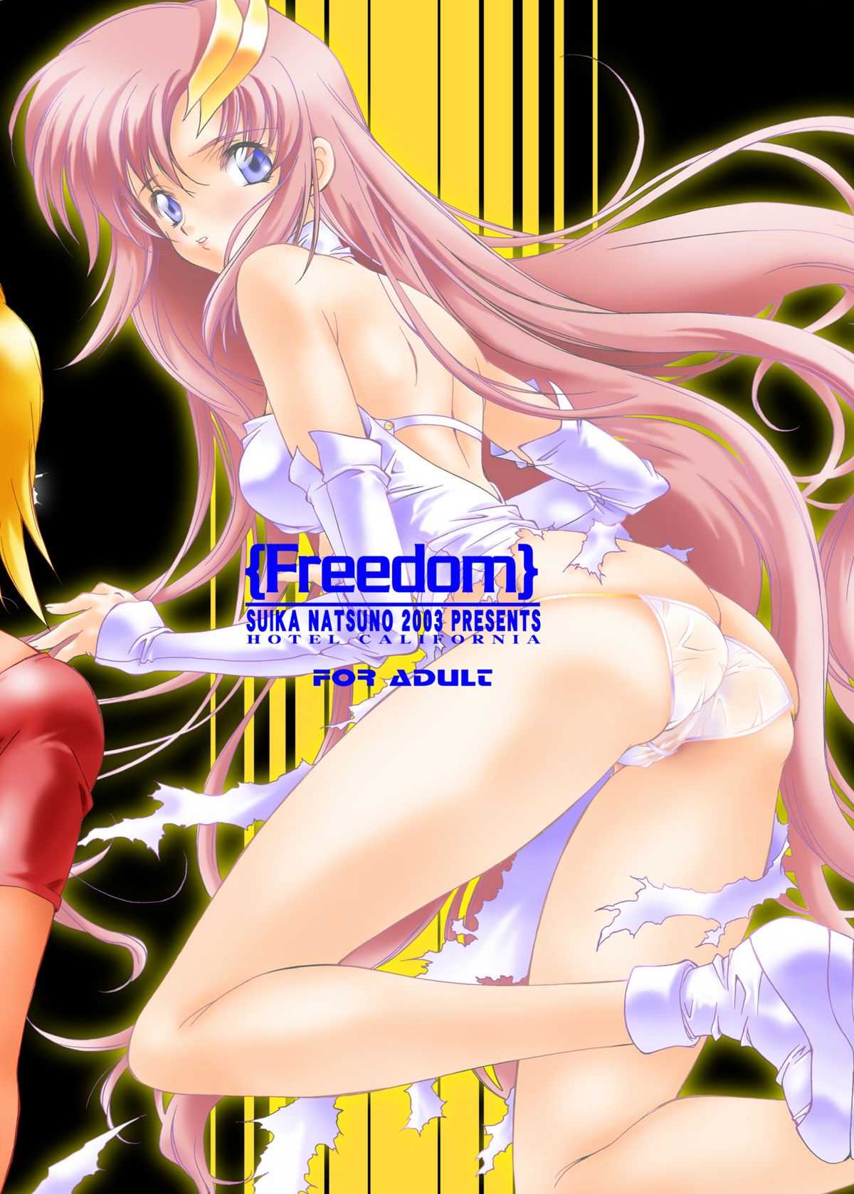 (C64) [Hotel California (Natsuno Suika)] Freedom_DL (Gundam SEED) [Digital] (C64) [加州大飯店 (なつのすいか)] Freedom_DL (機動戦士ガンダムSEED) [DL版]