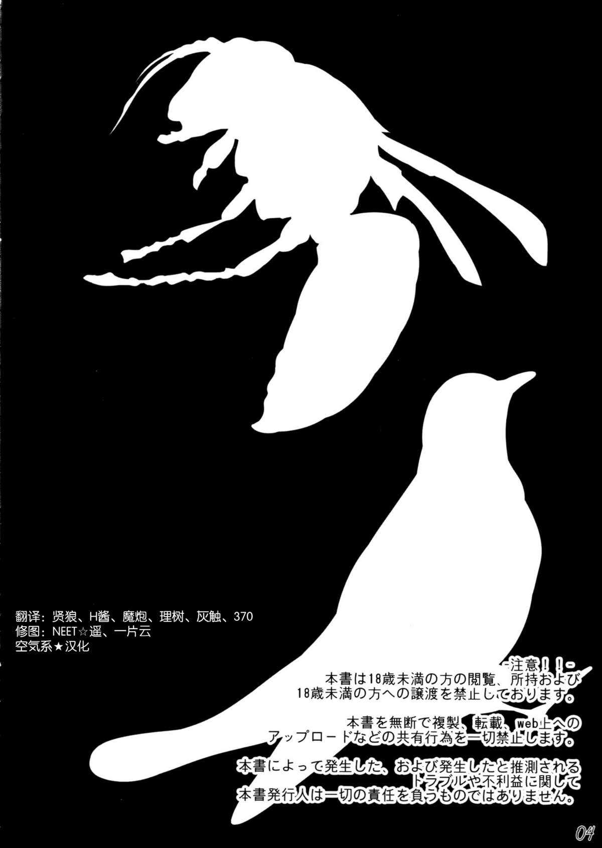 (COMIC1☆6) [In The Sky (Nakano Sora)] Boku no Panai Imouto-tachi (Nisemonogatari) [Chinese] (COMIC1☆6) [In The Sky (中乃空)] 僕のぱない妹たち (偽物語) [空気系★汉化]