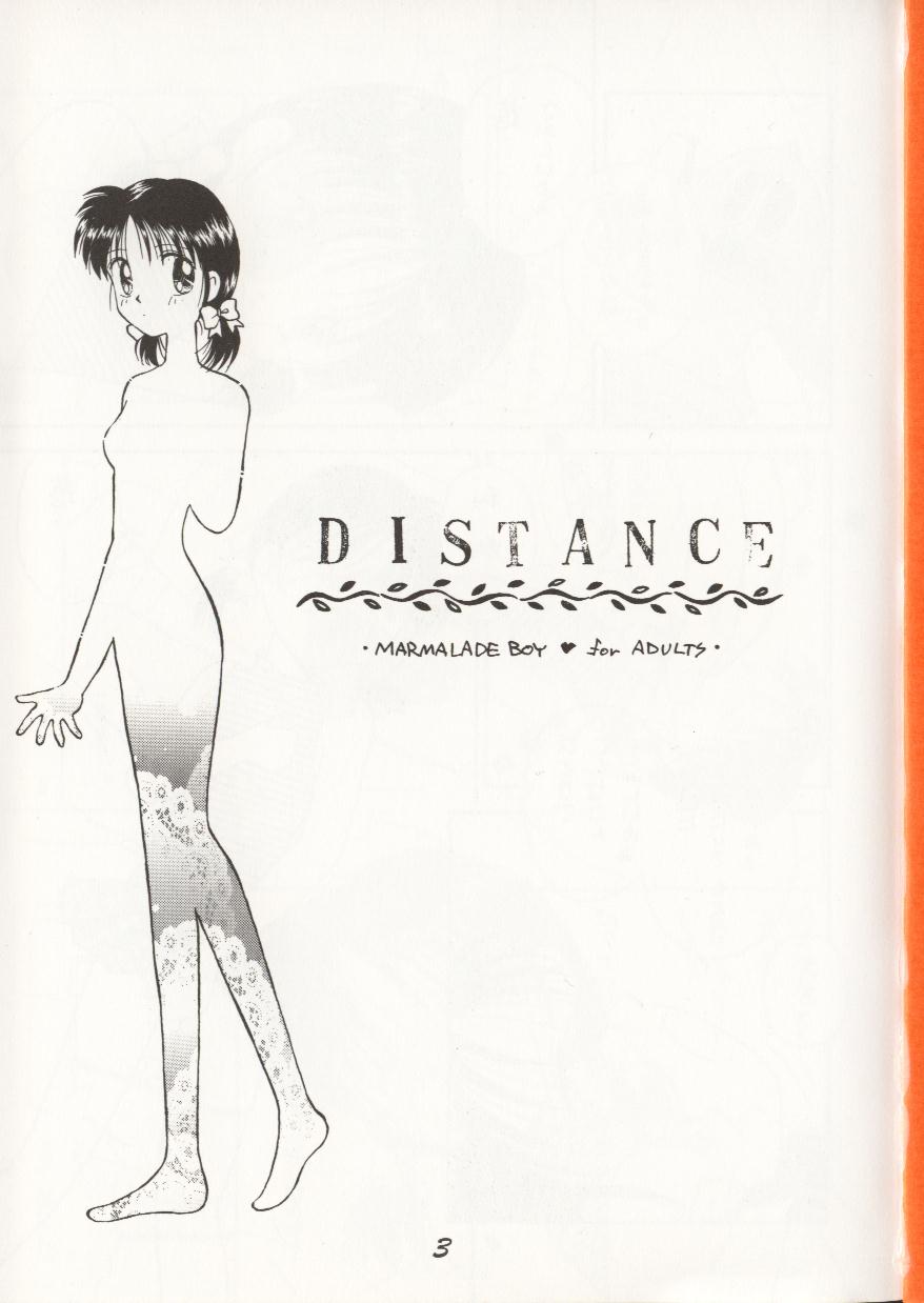 (C48) [Dai Nippon Kodomo Shuppan (DONKEY)] distance (Marmalade Boy) (C48) [大日本子供出版 (DONKEY)] distance (ママレードボーイ)