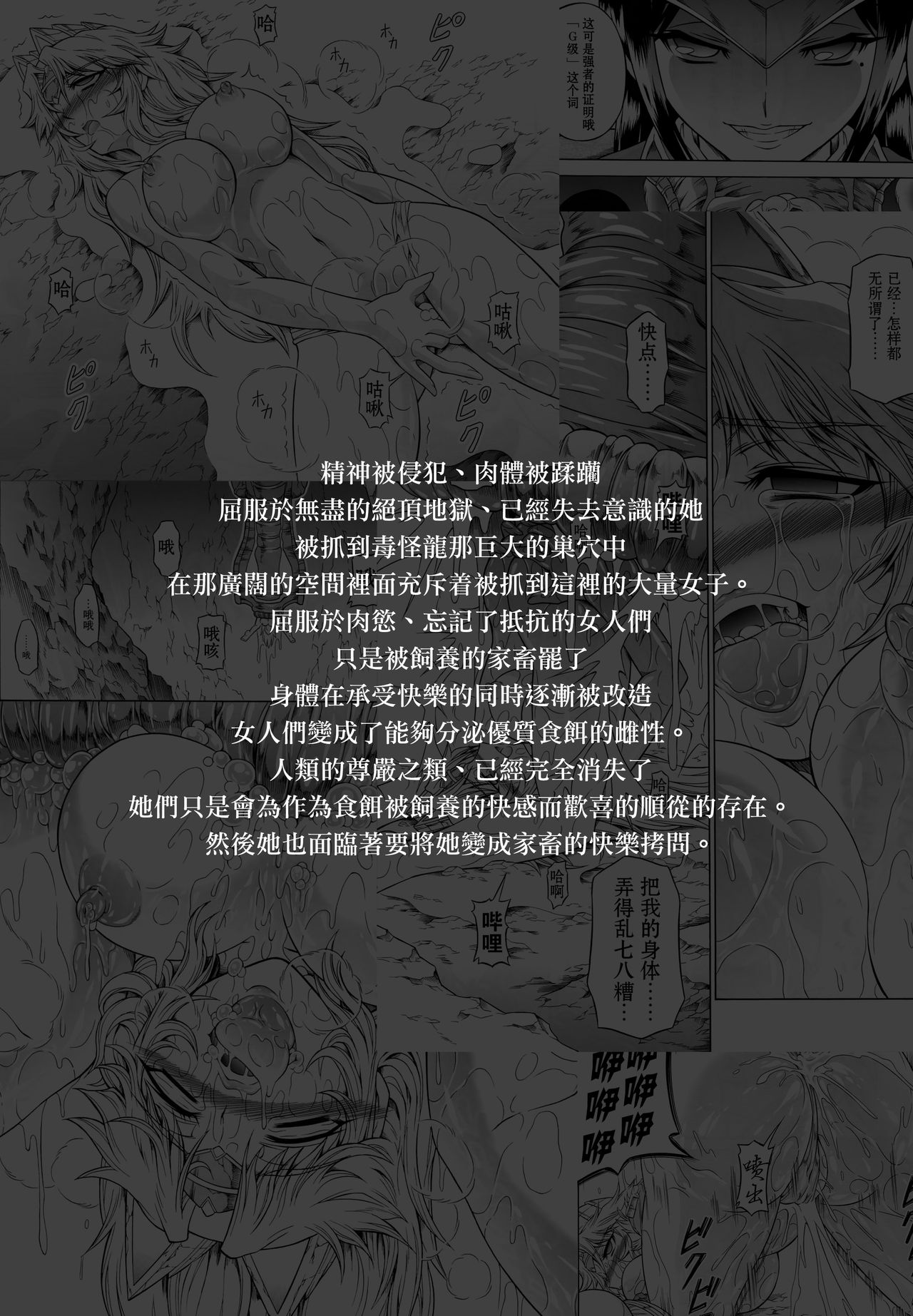 (C88) [Yokohama Junky (Makari Tohru)] Solo Hunter no Seitai 4 The Fifth Part (Monster Hunter) [Chinese] [屏幕髒了漢化組&无毒汉化组] (C88) [Yokohama Junky (魔狩十織)] ソロハンターの生態 4 The Fifth Part (モンスターハンター) [中文翻譯]