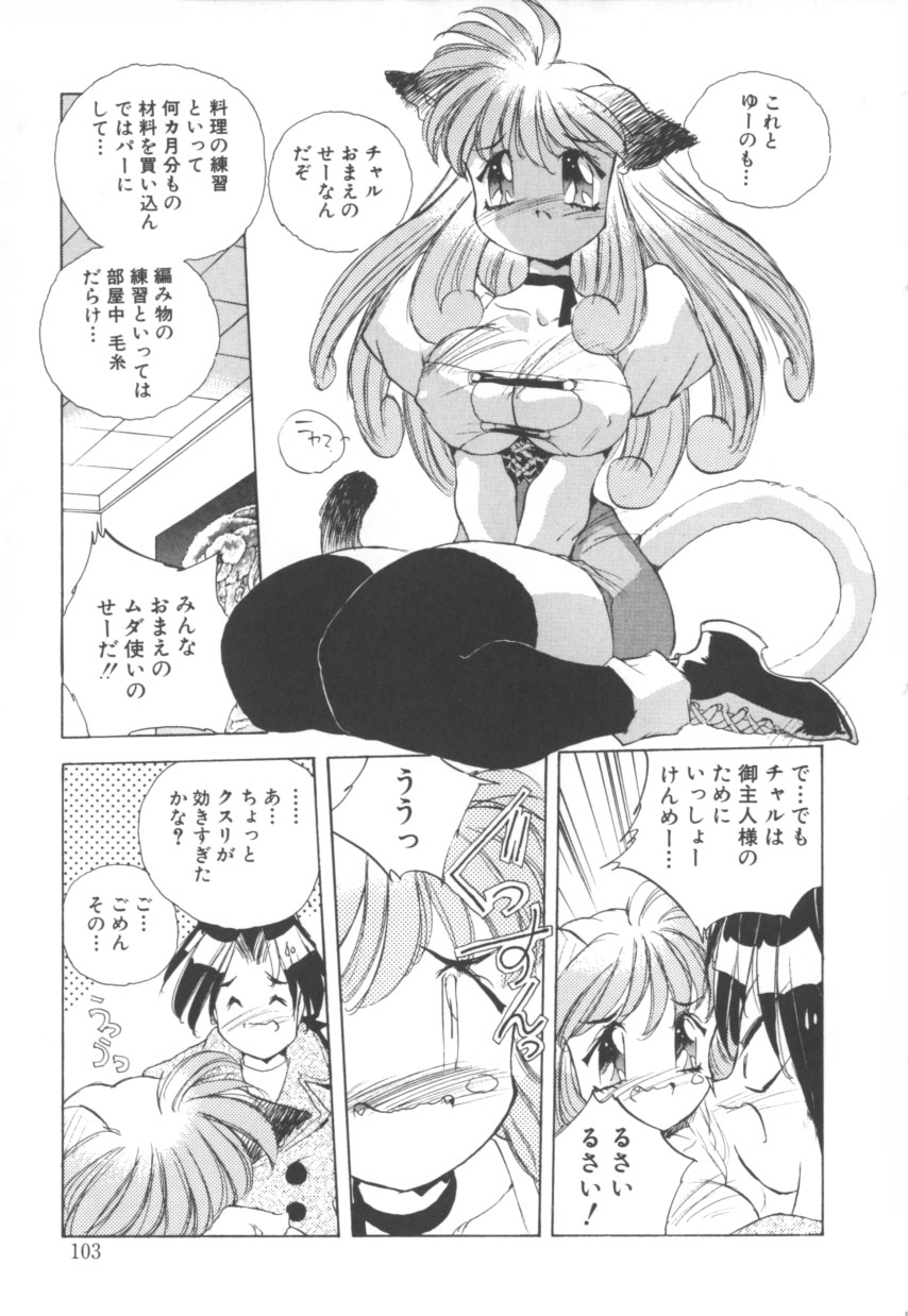 [Hariken Hanna] Cat tale [はりけんはんな] 突然!Cat tale いーえっくす