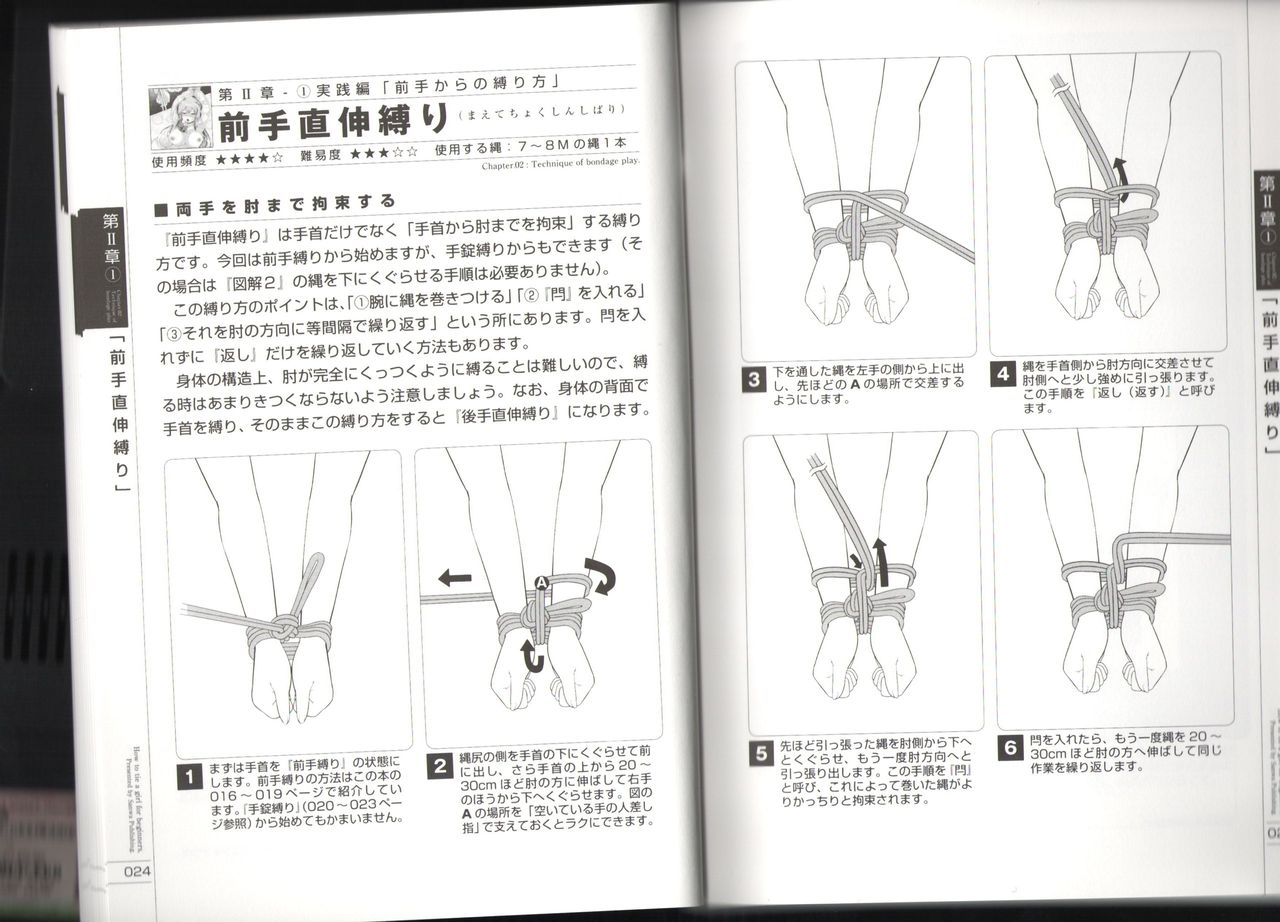 Now you can do it! Illustrated Tied How to Manual (SANWA MOOK light maniac Guide Series) いますぐデキる！図説縛り方マニュアル (SANWA MOOK ライト・マニアック・ガイドシリーズ)