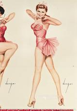 Completely Useless Pin-ups I Found on Google-