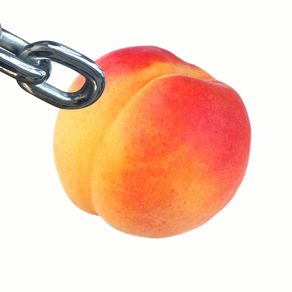 [dconthedancefloor] Peach X Link 