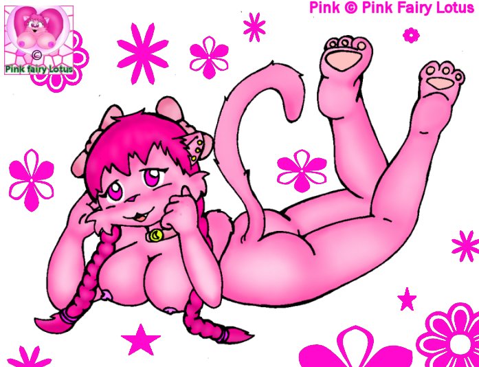 Pink Fairy Lotus 