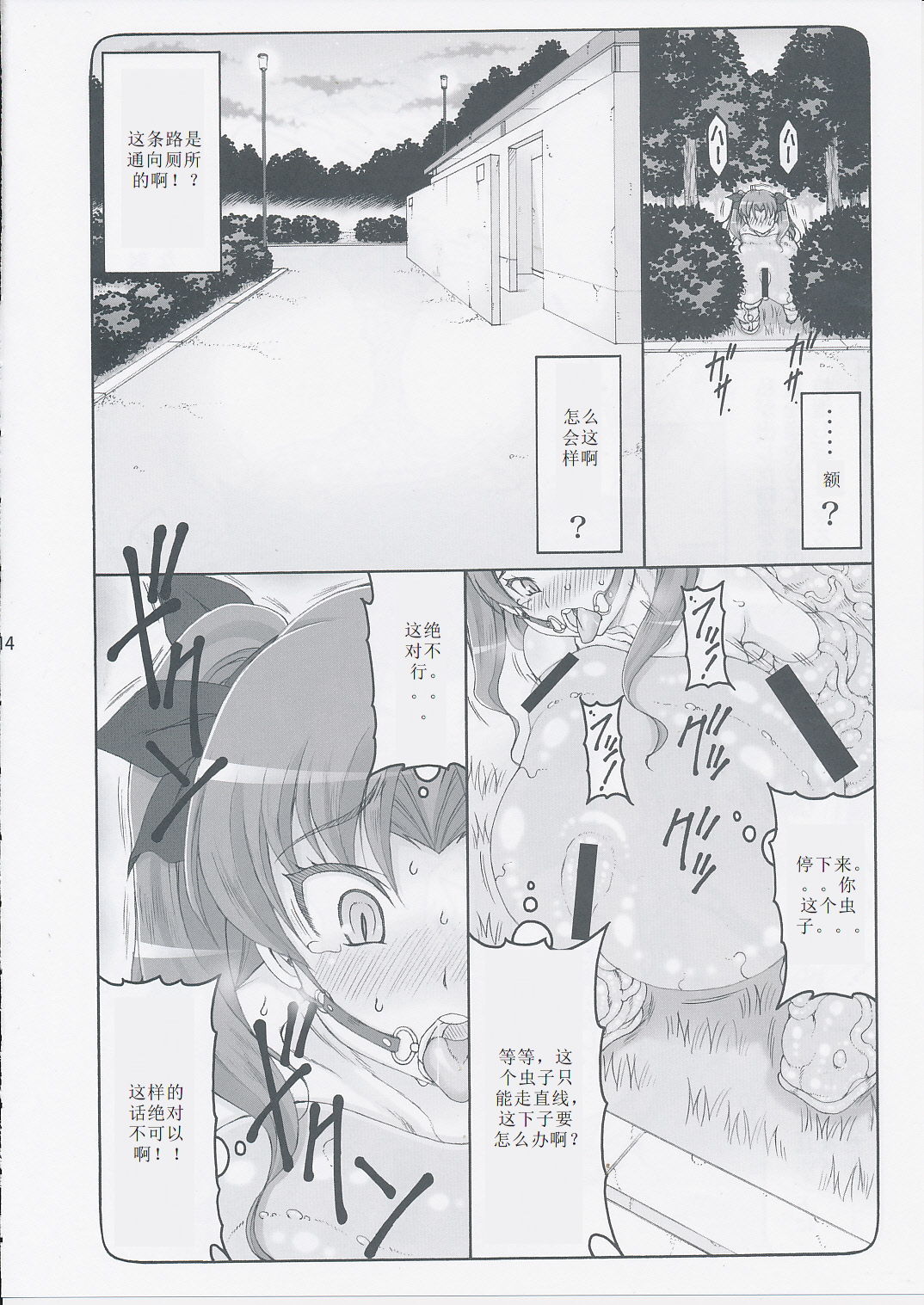 (C87) [Abarenbow Tengu (Izumi Yuujiro)] Kotori 11 (Fate/stay night) [Chinese] [个人汉化] (C87) [暴れん坊天狗 (泉ゆうじろ～)] 蟲鳥 11 (Fate/stay night) [中国翻訳]