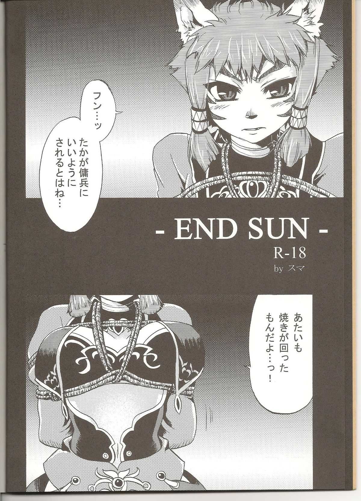 END SUN 