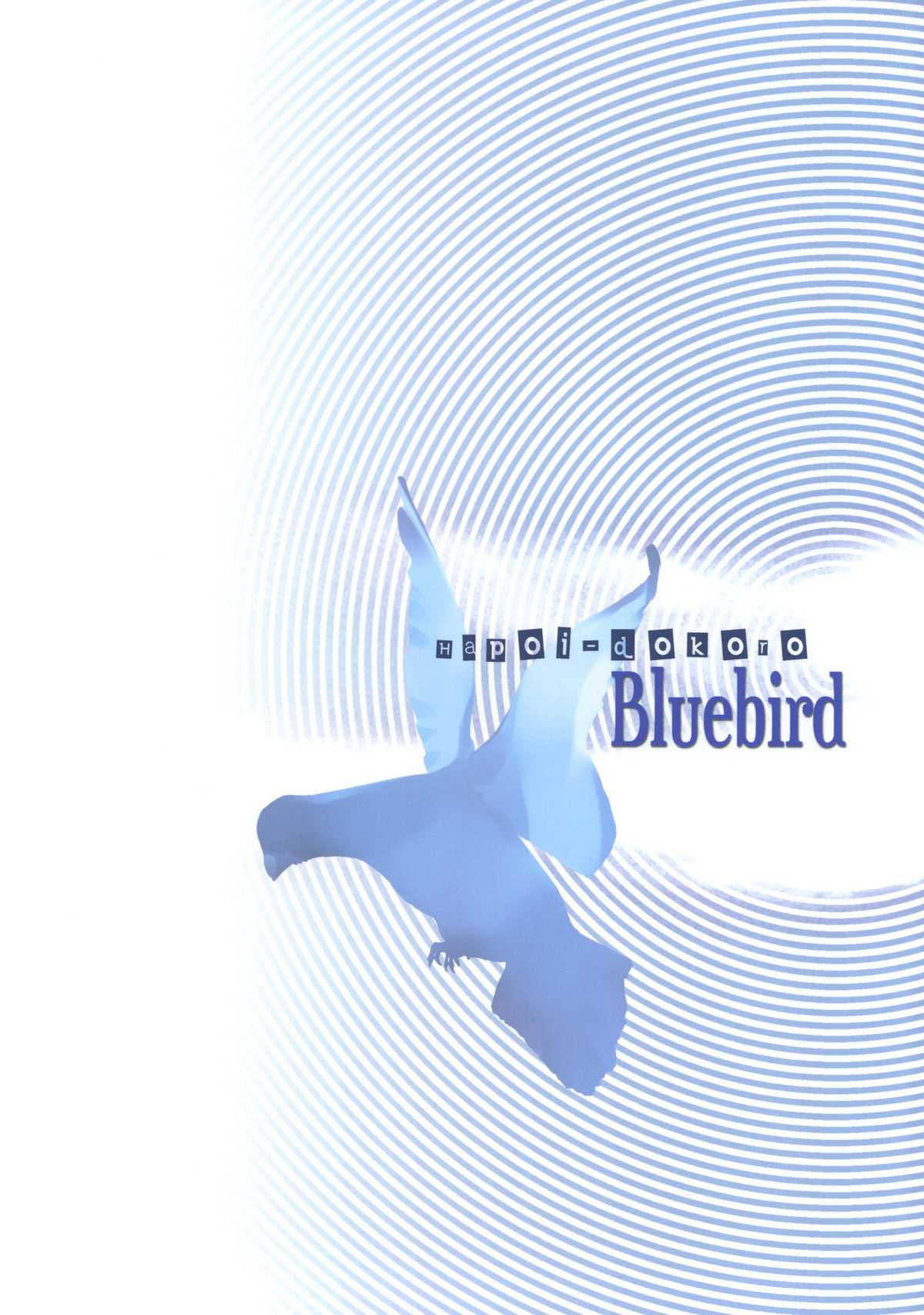 (C77) [Hapoi-dokoro (Okazaki Takeshi)] Bluebird (Neon Genesis Evangelion) (C77) [はぽい処 (岡崎武士)] ブルーバード (新世紀エヴァンゲリオン)