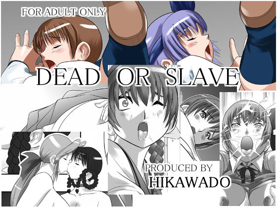 [Hikawadou (Hinokawa Jun)] Dead or Slave (Dead or Alive) [火川堂 (火の川純)] DEAD OR SLAVE (デッドオアアライブ)
