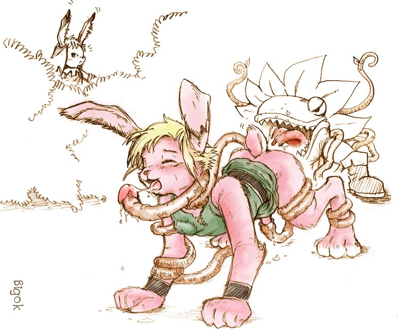 Bunny Link 